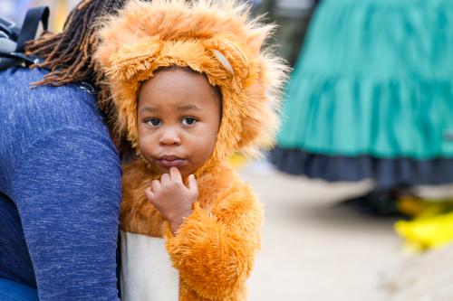 Young child wearing a lion costume